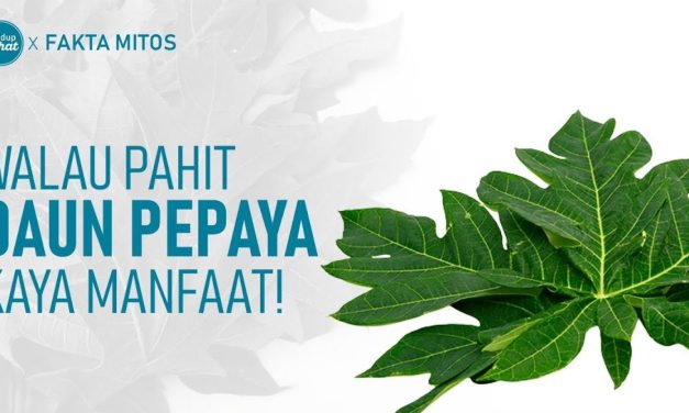 Khasiat Daun Papaya Menjaga Kesehatan Secara Menyeluruh