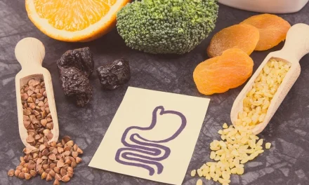 Manfaat Prebiotik Untuk Kesehatan Tulang, Yuk Kita Bahas Disini