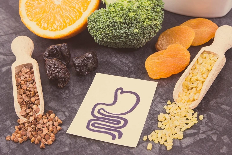 Manfaat Prebiotik Untuk Kesehatan Tulang, Yuk Kita Bahas Disini