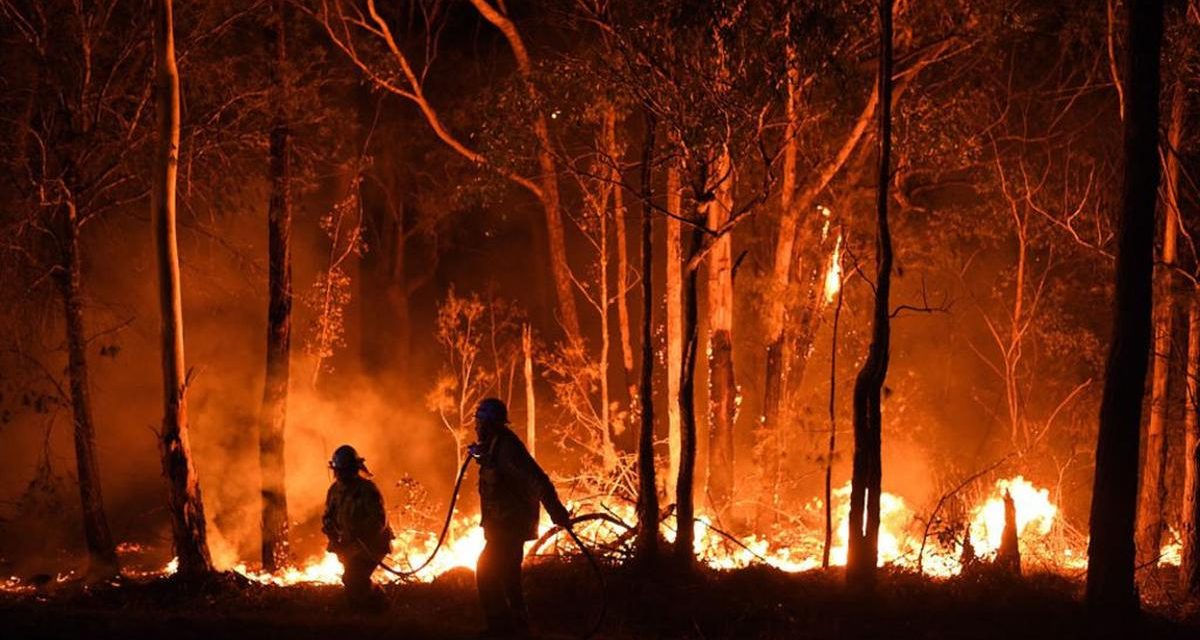 Kebakaran Hutan Melanda Australia: Ribuan Warga Di Evakuasi