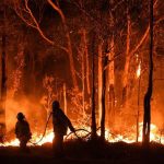 Kebakaran Hutan Melanda Australia: Ribuan Warga Di Evakuasi