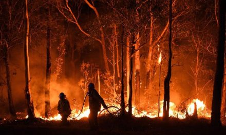 Kebakaran Hutan Melanda Australia: Ribuan Warga Di Evakuasi