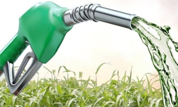 BBM Bioetanol Mulai Diuji, Langkah Menuju Energi Hijau