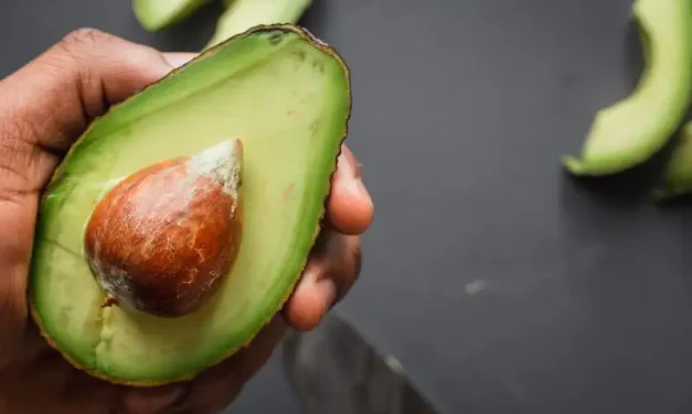 Pilihan Makanan Biar Sperma Subur Dan Berkualitas