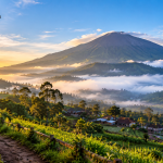 Mau Healing Sejuk? Keindahan Kaki Gunung Slamet Jawabannya!